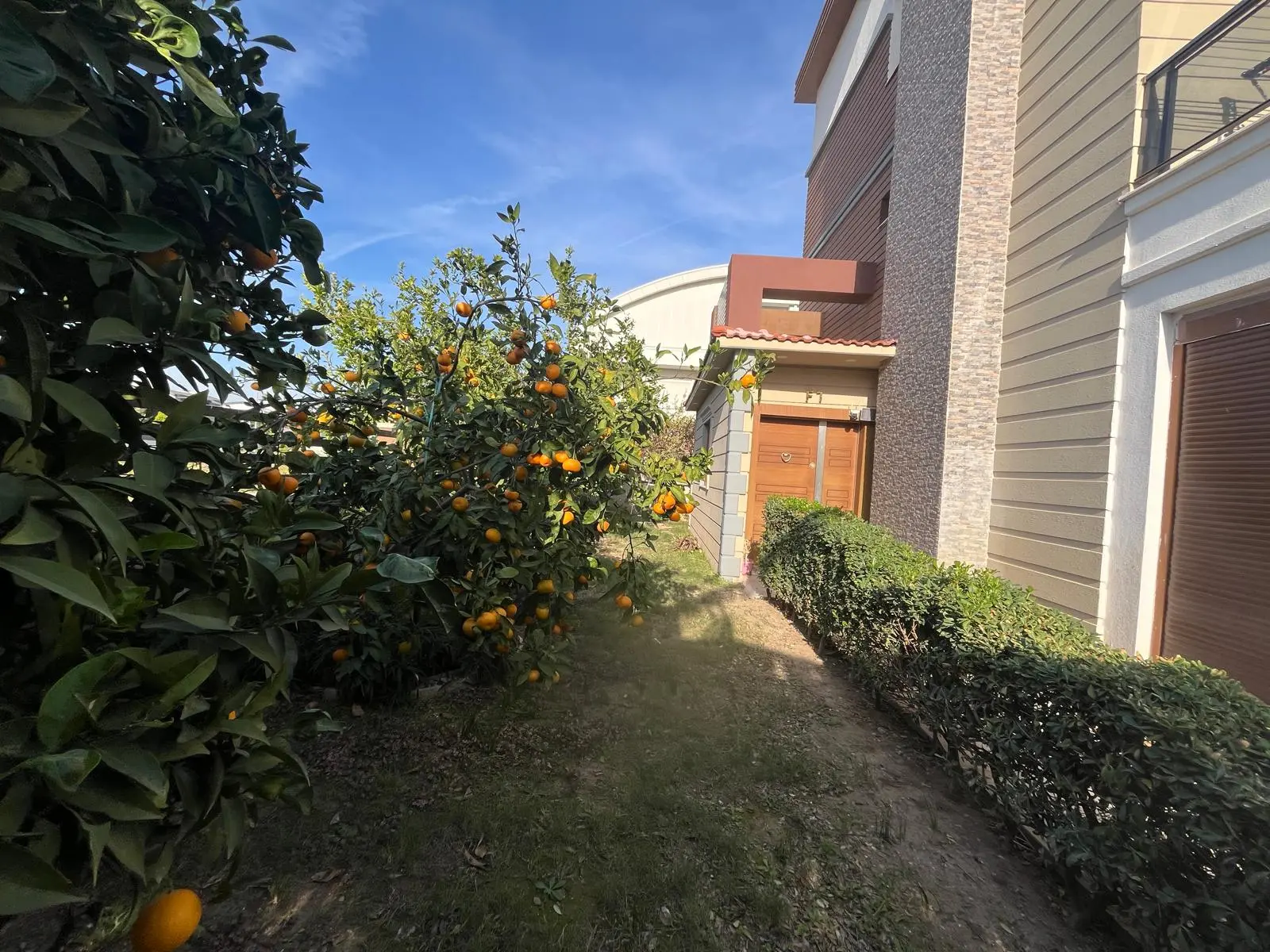 Garden area